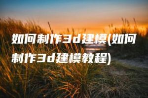 如何制作3d建模(如何制作3d建模教程) | ae插件合集