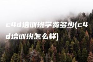 c4d培训班学费多少(c4d培训班怎么样) | ae插件合集
