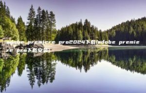 adobe premiere pro2024下载(adobe premiere pro下载安装) | ae插件合集