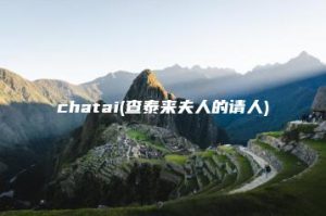 chatai(查泰来夫人的请人) | ae插件合集