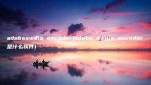 adobemedia encoder(adobe media encoder是什么软件) | ae插件合集