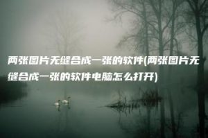 两张图片无缝合成一张的软件(两张图片无缝合成一张的软件电脑怎么打开) | ae插件合集