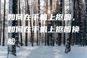 如何在手机上抠图，如何在手机上抠图换脸 | ae插件合集