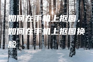 如何在手机上抠图，如何在手机上抠图换脸 | ae插件合集