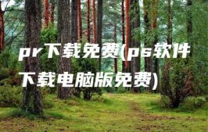 pr下载免费(ps软件下载电脑版免费) | ae插件合集