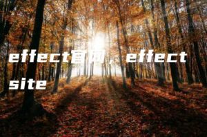 effect官网，effect site | ae插件合集