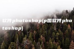 软件photoshop(p图软件photoshop) | ae插件合集