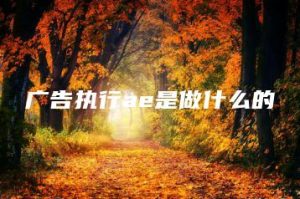 广告执行ae是做什么的 | ae插件合集