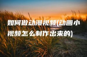 如何做动漫视频(动画小视频怎么制作出来的) | ae插件合集