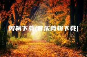 剪辑下载(音乐剪辑下载) | ae插件合集