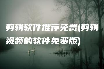 剪辑软件推荐免费(剪辑视频的软件免费版) | ae插件合集