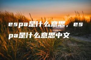 espa是什么意思，espa是什么意思中文 | ae插件合集