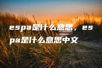 espa是什么意思，espa是什么意思中文 | ae插件合集