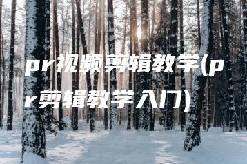 pr视频剪辑教学(pr剪辑教学入门) | ae插件合集