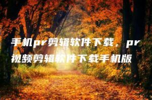 手机pr剪辑软件下载，pr视频剪辑软件下载手机版 | ae插件合集