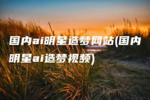 国内ai明星造梦网站(国内明星ai造梦视频) | ae插件合集