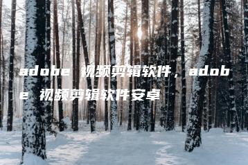 adobe 视频剪辑软件，adobe 视频剪辑软件安卓 | ae插件合集