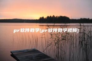 pr软件教学(pr软件教学视频) | ae插件合集