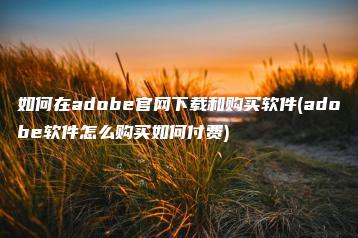 如何在adobe官网下载和购买软件(adobe软件怎么购买如何付费) | ae插件合集