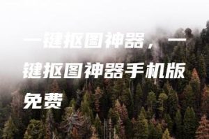 一键抠图神器，一键抠图神器手机版免费 | ae插件合集