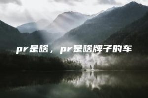 pr是啥，pr是啥牌子的车 | ae插件合集