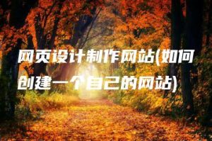 网页设计制作网站(如何创建一个自己的网站) | ae插件合集