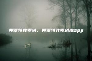 免费特效素材，免费特效素材库app | ae插件合集