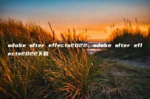adobe after effects2022，adobe after effects2022下载 | ae插件合集