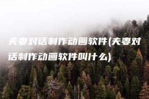 夫妻对话制作动画软件(夫妻对话制作动画软件叫什么) | ae插件合集