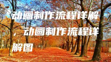 动画制作流程详解，动画制作流程详解图 | ae插件合集