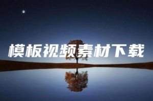 模板视频素材下载 | ae插件合集