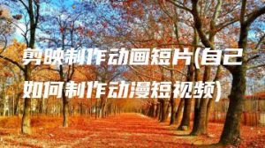 剪映制作动画短片(自己如何制作动漫短视频) | ae插件合集