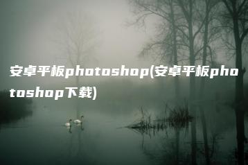 安卓平板photoshop(安卓平板photoshop下载) | ae插件合集