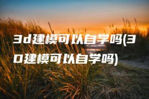 3d建模可以自学吗(3D建模可以自学吗) | ae插件合集