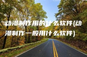 动漫制作用的什么软件(动漫制作一般用什么软件) | ae插件合集