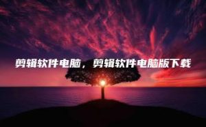 剪辑软件电脑，剪辑软件电脑版下载 | ae插件合集