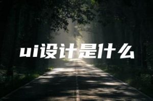ui设计是什么 | ae插件合集