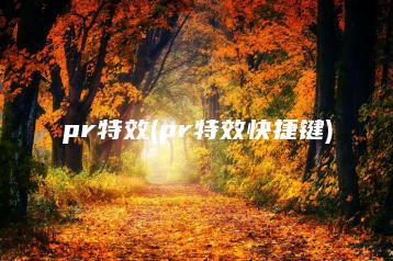 pr特效(pr特效快捷键) | ae插件合集