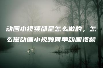 动画小视频都是怎么做的，怎么做动画小视频简单动画视频 | ae插件合集
