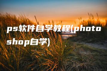 ps软件自学教程(photoshop自学) | ae插件合集