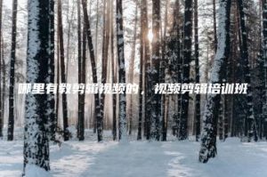 哪里有教剪辑视频的，视频剪辑培训班 | ae插件合集