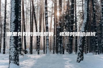 哪里有教剪辑视频的，视频剪辑培训班 | ae插件合集