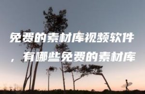免费的素材库视频软件，有哪些免费的素材库 | ae插件合集