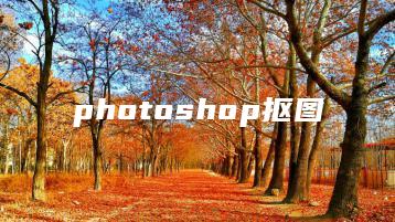 photoshop抠图 | ae插件合集