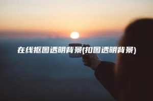 在线抠图透明背景(扣图透明背景) | ae插件合集