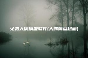 免费人偶模型软件(人偶模型绘画) | ae插件合集