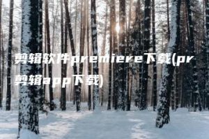 剪辑软件premiere下载(pr剪辑app下载) | ae插件合集