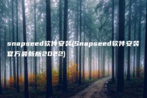 snapseed软件安装(Snapseed软件安装官方最新版2022) | ae插件合集