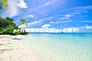pr在哪里学比较好(pr去哪学) | ae插件合集