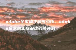 adobe全家桶正版多少钱，adobe全家桶正版多少钱能买到 | ae插件合集